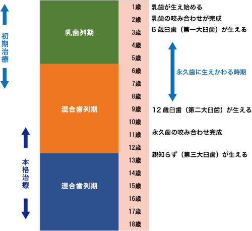 こどもの強制時期